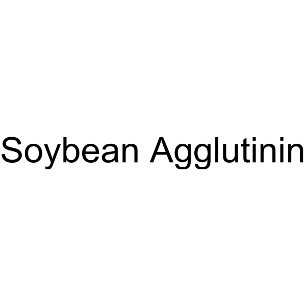 Soybean Agglutinin